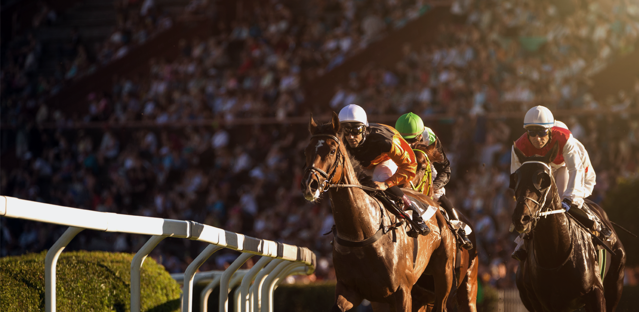 horses racing at premiere track that Ace of Races does racing writing, handicapping and clocking